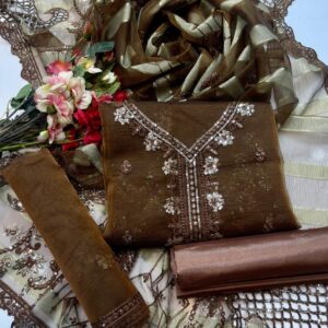 Organza Dresses Designs Kataan Silk Trouser